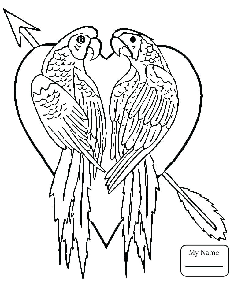 765x922 Coloring Pages Of Birds Parakeet Parakeet Coloring Page Coloring