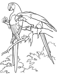 236x314 River Coloring Page Coloring Pages Printableganization