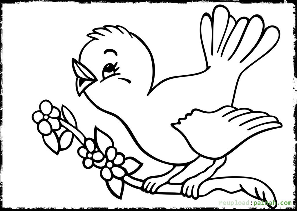 Parrot Bird Coloring Pages