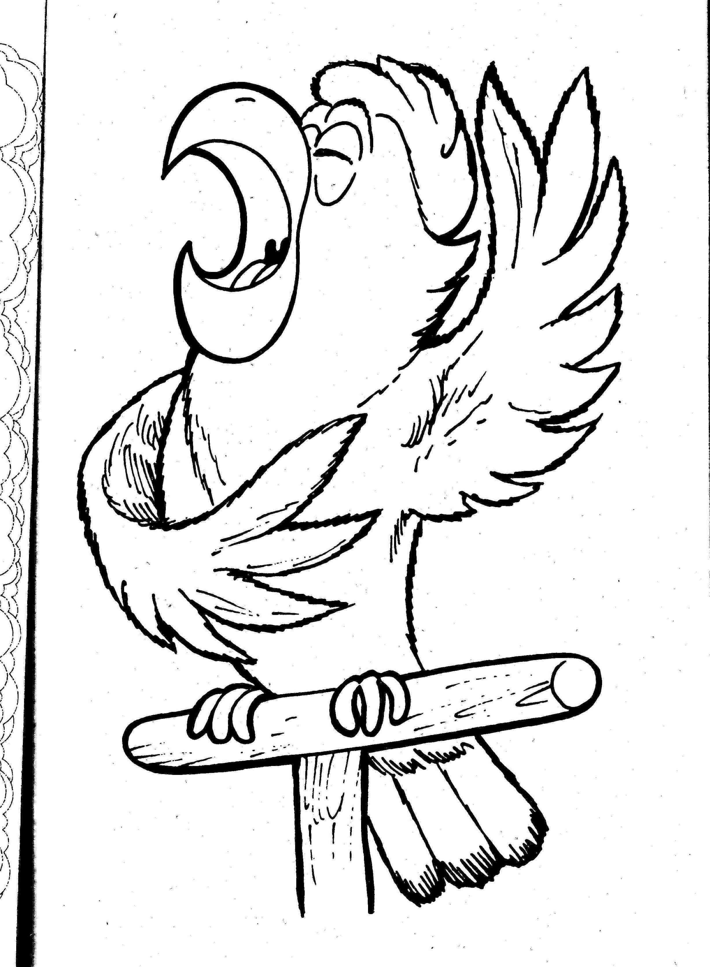 2454x3343 Coloring Pages Parrots Birds For Kids To Print Free Printable