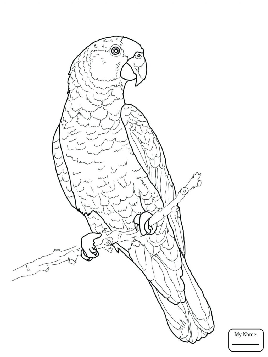 1024x1365 Coloring Pages ~ Parrot Coloring Page Birds Parrots Flying Red