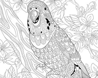340x270 Hornbill Bird. Coloring Pages. Animal Coloring Book Pages