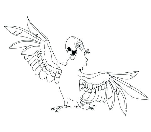600x525 Parrot Coloring Pages Coloring Pages Parrots Coloring Pages
