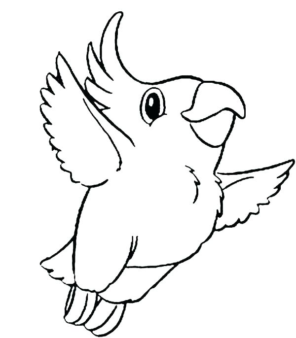 600x686 Parrot Coloring Page