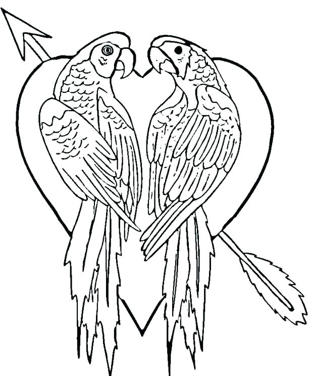 618x745 Coloring Pages Of Parrots Parrot Coloring Page Parrot Coloring