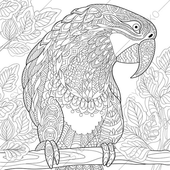 570x570 Macaw Parrot. Coloring Pages. Animal Coloring Book Pages