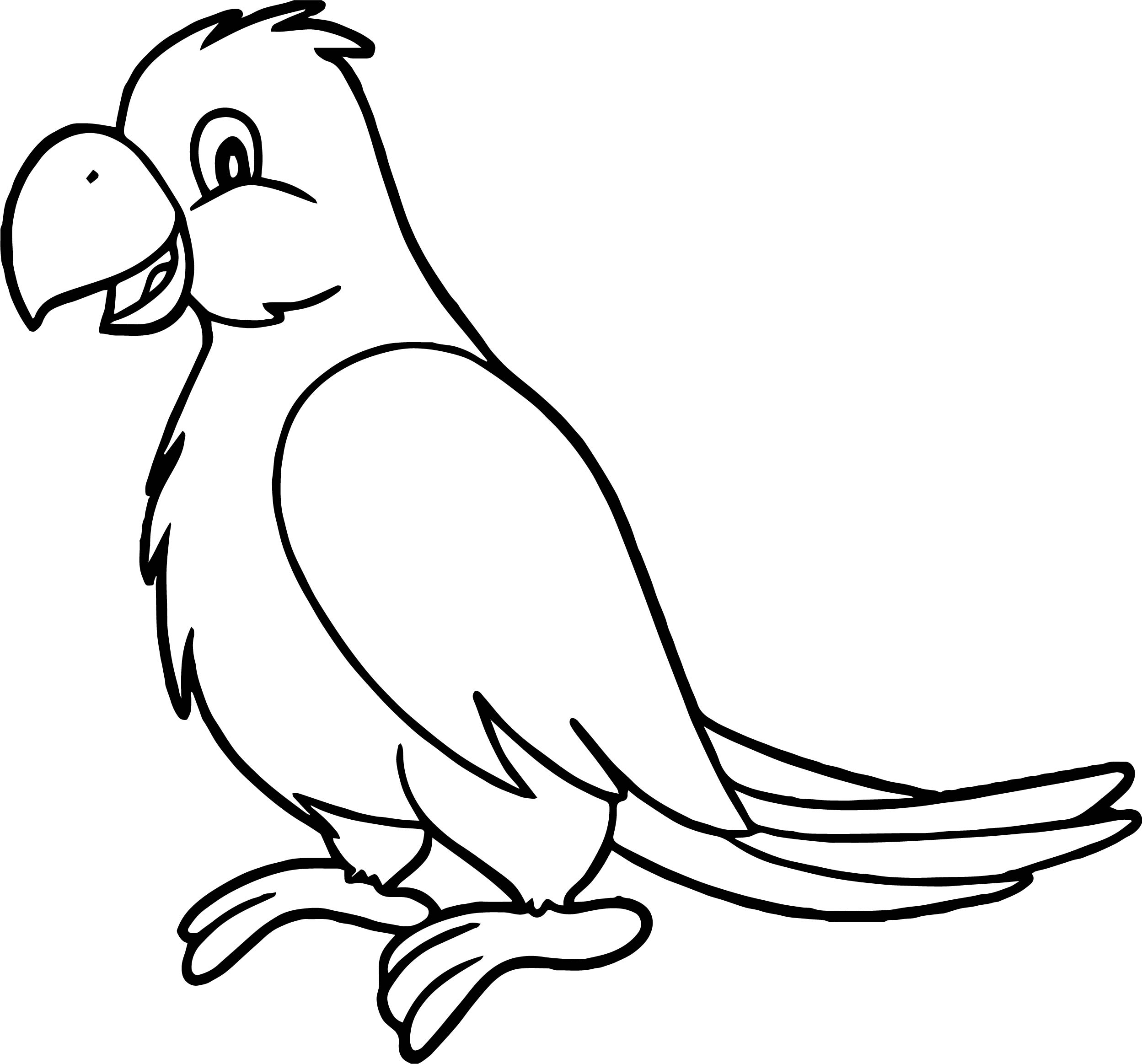 2497x2326 Alert Famous Parrot Colouring Pages Popular Co