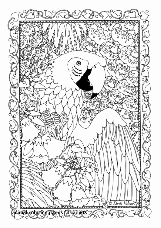 531x750 Animal Coloring Pages For Adults Parrot Coloring Pages Ohmygirl.us