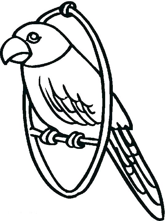 540x720 Baby Parrot Coloring Pages Vanda