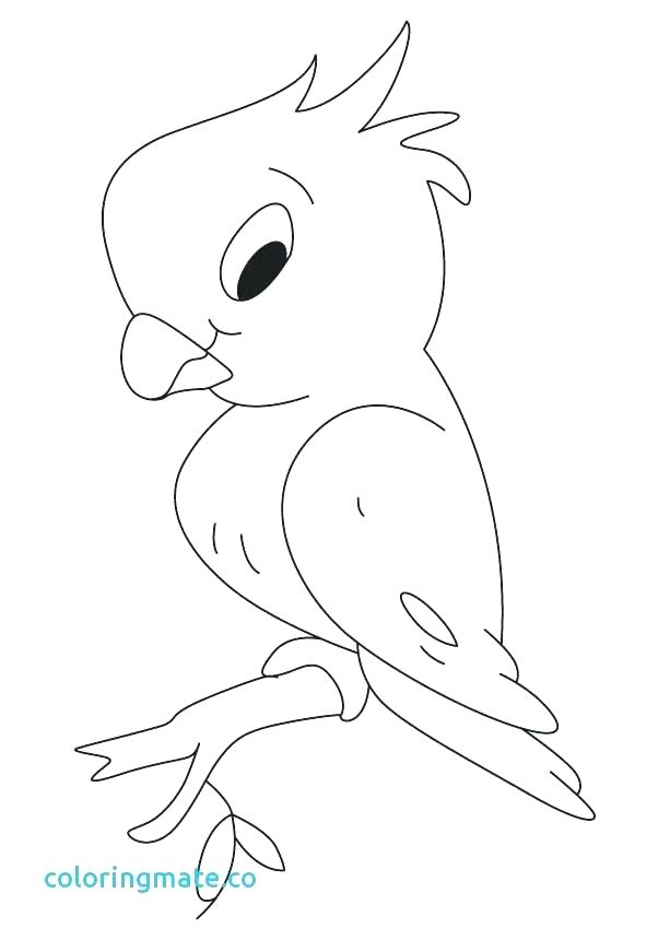 613x860 Parrot Coloring Page Coloring Pages Animals Parrot 8 Parrot Fish