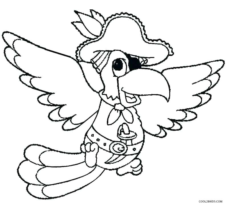 800x726 Parrots Coloring Pages Parrot Pictures For Kids To Color Birds