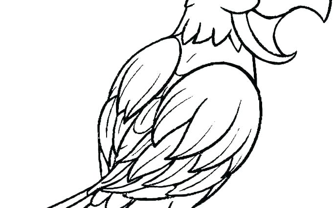 685x425 Shy Guy Coloring Pages