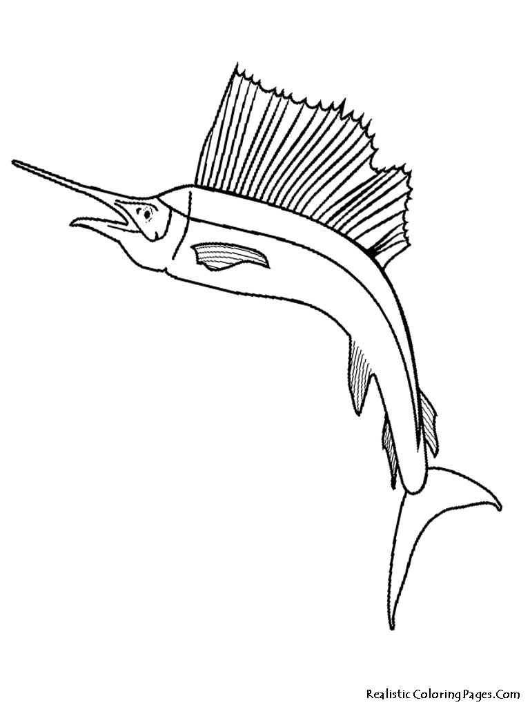 768x1024 Tropical Fish Coloring Pages Tropical Fish Coloring Pages