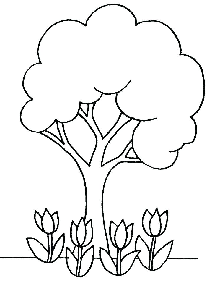 718x957 Parts Of A Plant Coloring Page Parts Of A Plant Coloring Pages