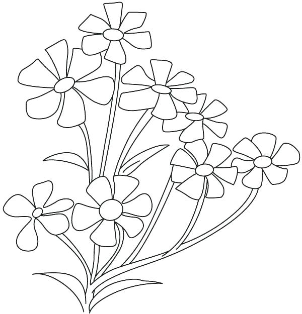 600x625 Parts Of A Plant Coloring Page Parts Of Plants Song Grade Teaching