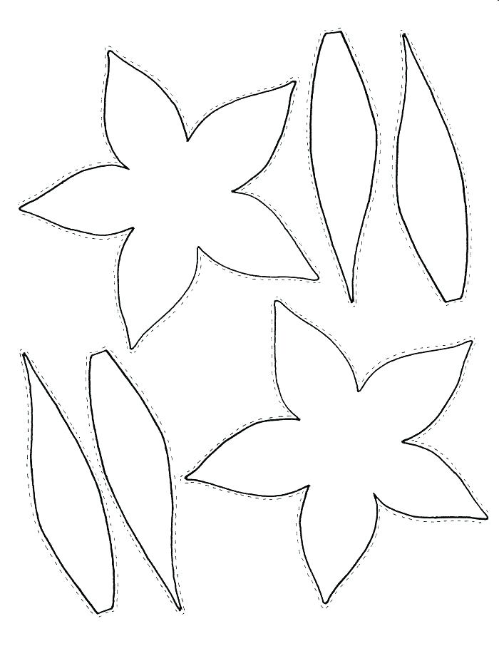 700x906 Parts A Plant Coloring Page This Is A 5 Page Printable Parts