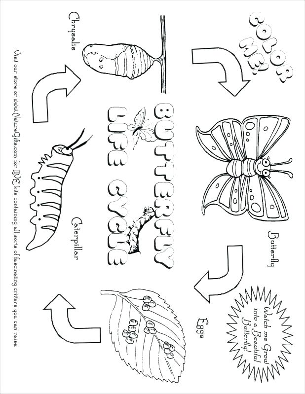 618x799 Plant Coloring Pages Plants Vs Zombies Coloring Pages All Plants