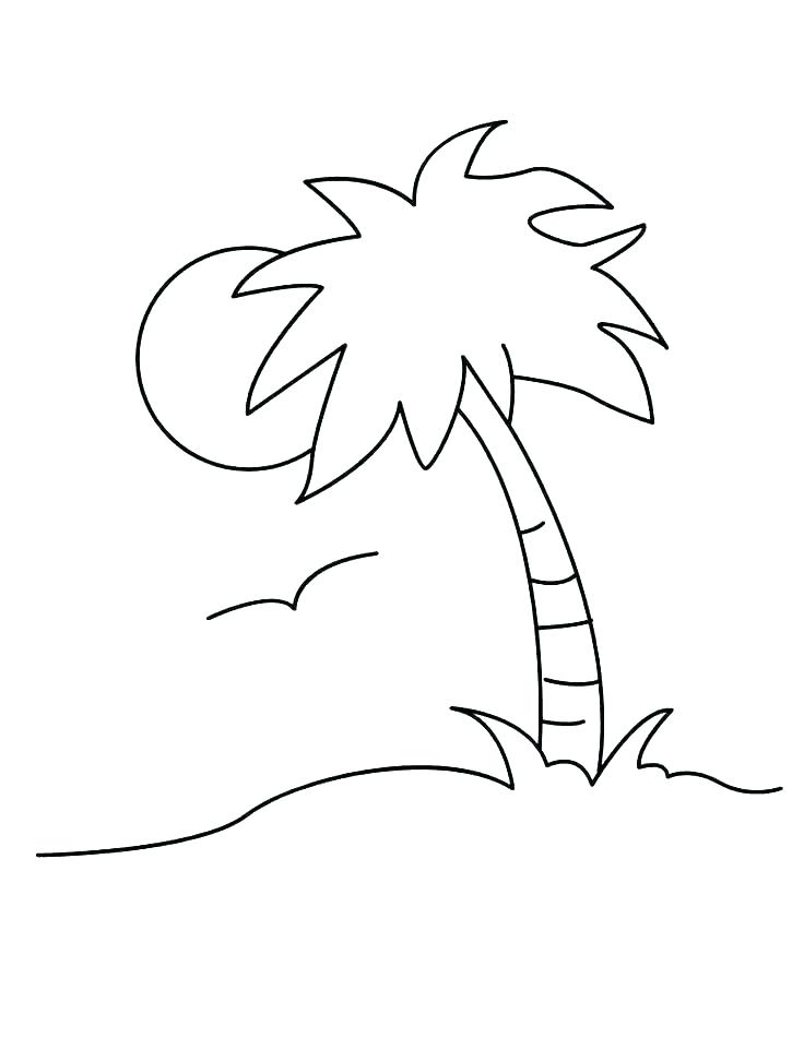 736x951 Plants Coloring Pages Preschool Parts Of A Plant Page Flower