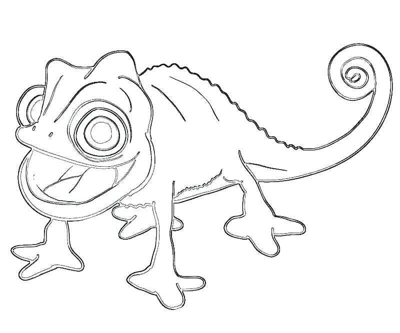 800x667 Tangled Coloring Book Tangled Coloring Pascal Tangled Coloring