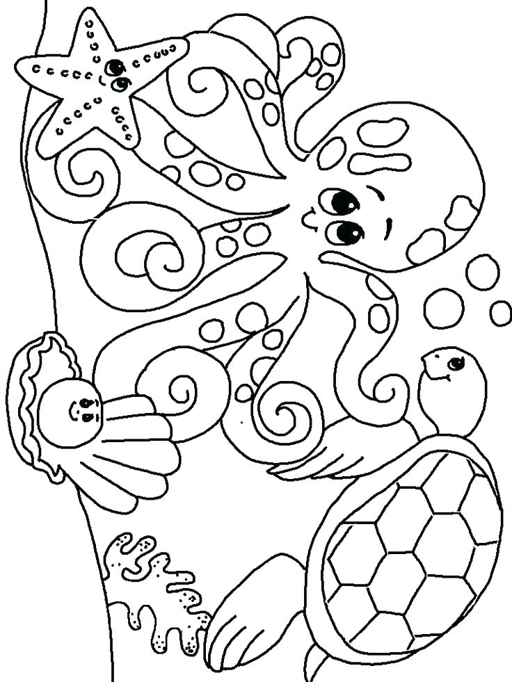 736x981 Passport Coloring Page Passport Coloring Page Free Printable Ocean
