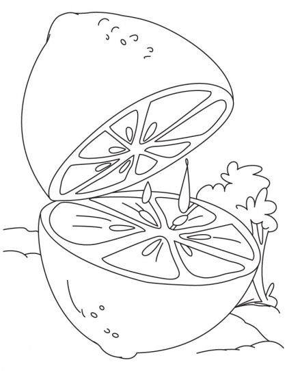 420x542 Lime Coloring Page Download Free Lime Coloring Page For Kids
