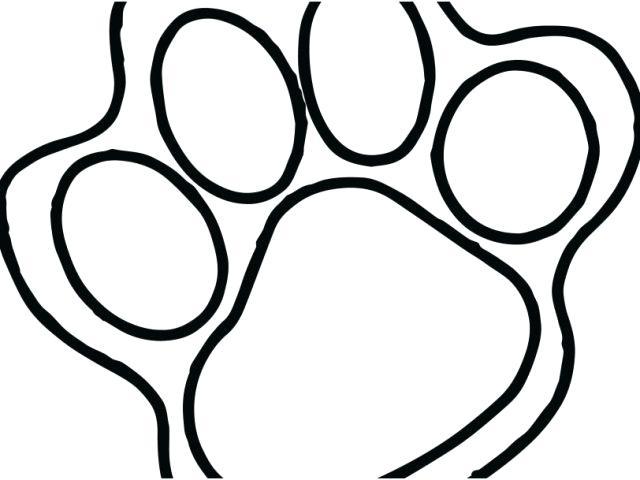 640x480 Paw Print Coloring Page Cheetah Print Coloring Pages Paw Print