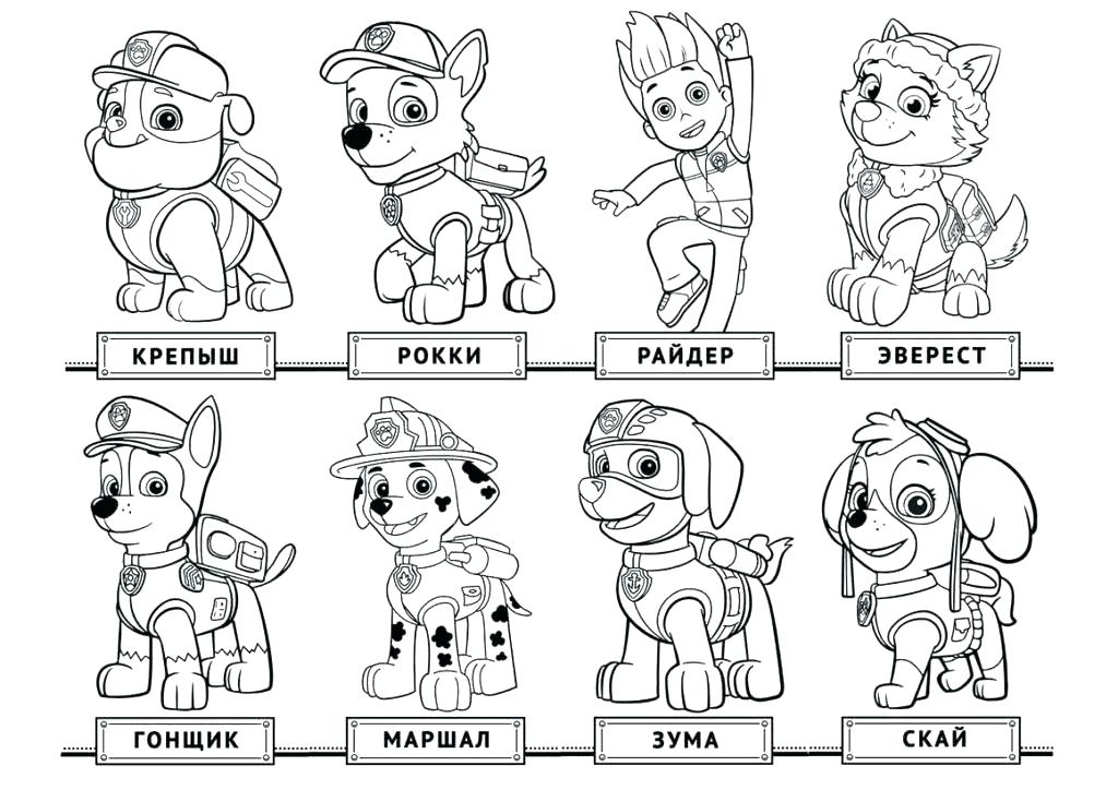 1024x724 Paw Patrol Coloring Pictures Plus Paw Patrol Coloring Pages Rubble