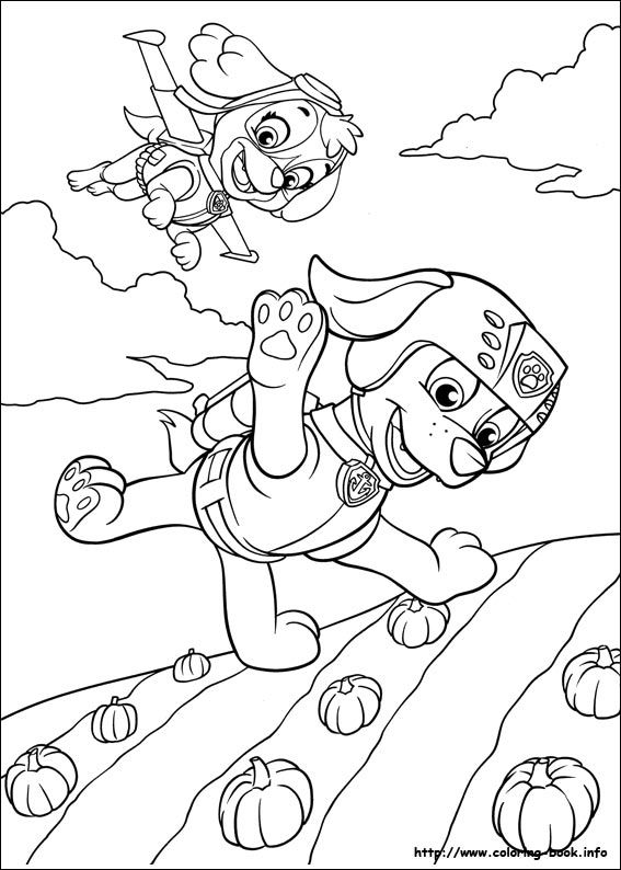 567x794 Paw Patrol Coloring Picture Colouring