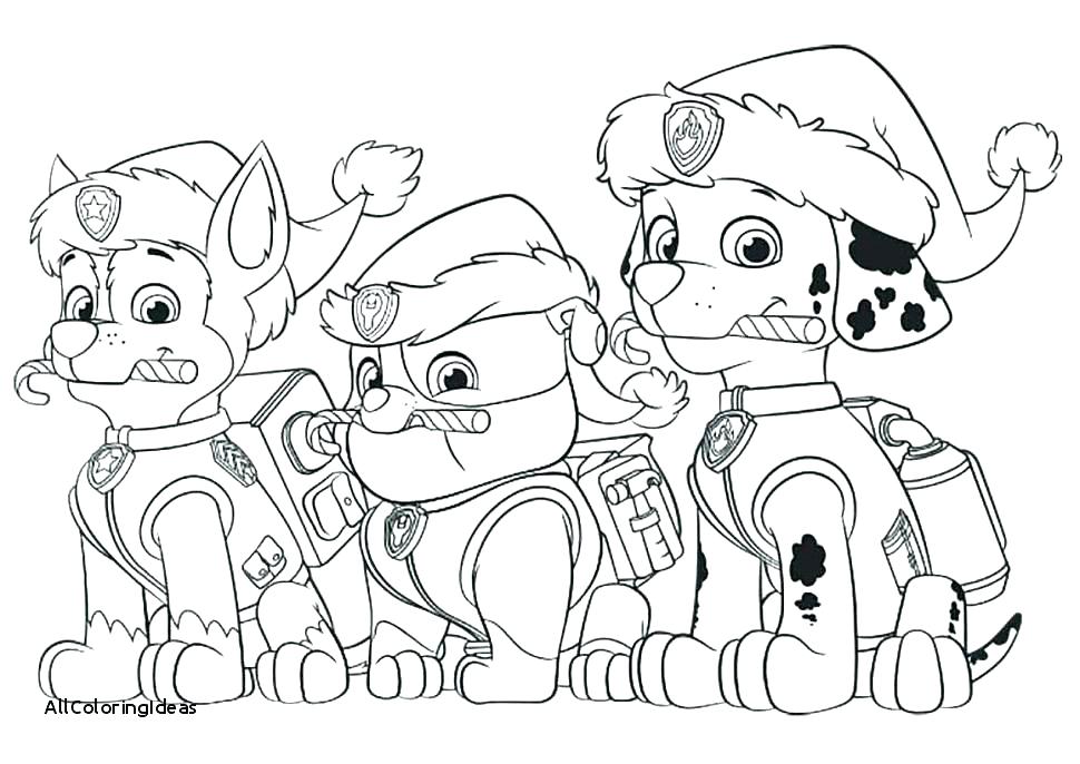 970x686 Paw Patrol Coloring Pictures With Beautiful Free Paw Patrol
