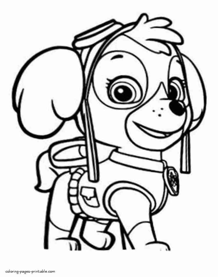 895x1138 Exquisite Ideas Skye Paw Patrol Coloring Pages Paw Patrol Sky