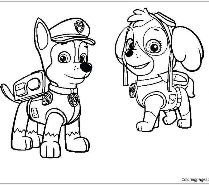 678x600 Chase Paw Patrol Coloring Page Chase Coloring Page Chase Paw