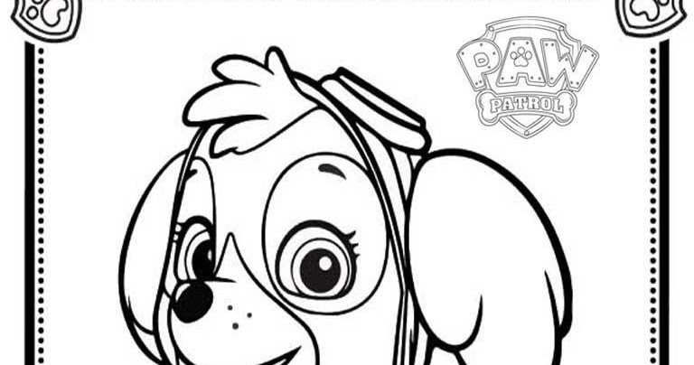 768x404 Patrol Coloring Pages Sky