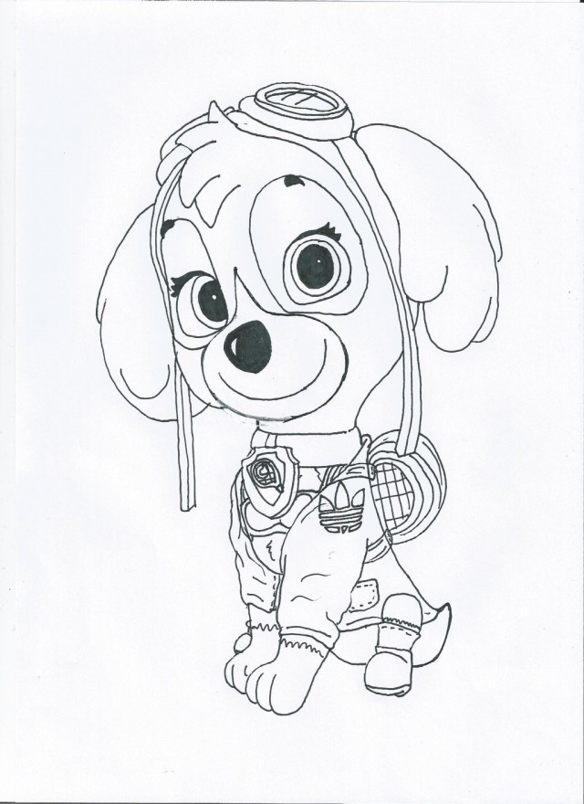 640x880 Paw Patrol Skye Sport Outfit By Pawpatrolfan66