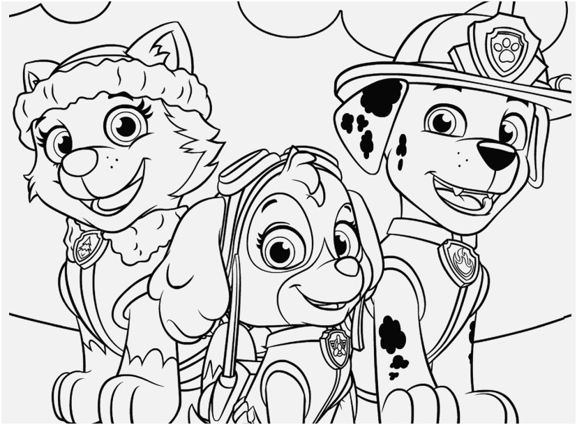 827x609 Paw Patrol Coloring Pages Picture Everest Marshall And Chase Paw