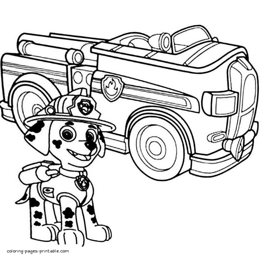 895x843 Simple Decoration Marshall Paw Patrol Coloring Page Paw Patrol