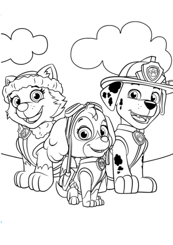 339x480 Skye Paw Patrol Coloring Pages