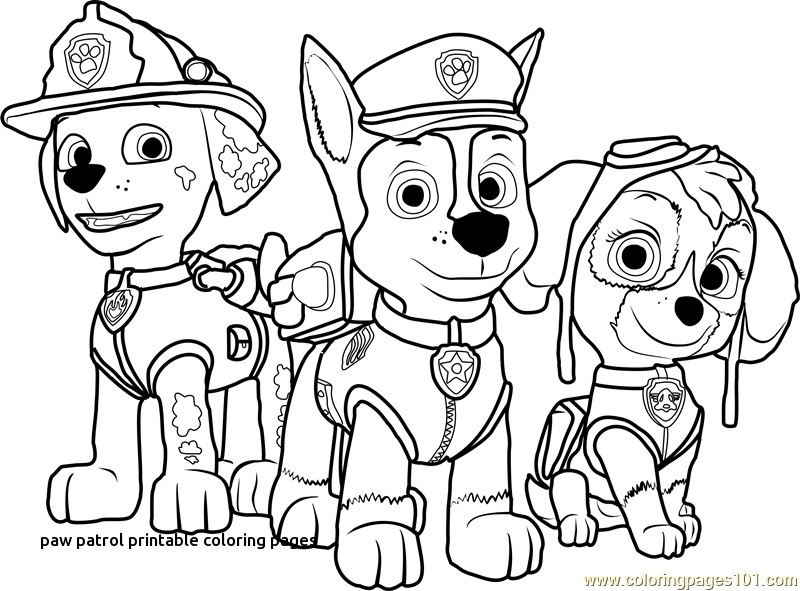 800x591 Free Colouring Pages Paw Patrol Amusing Paw Patrol Coloring Pages