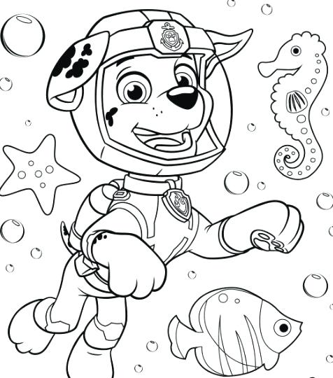476x540 Paw Patrol Super Spy Chase Coloring Pages Printable Coloring Anime