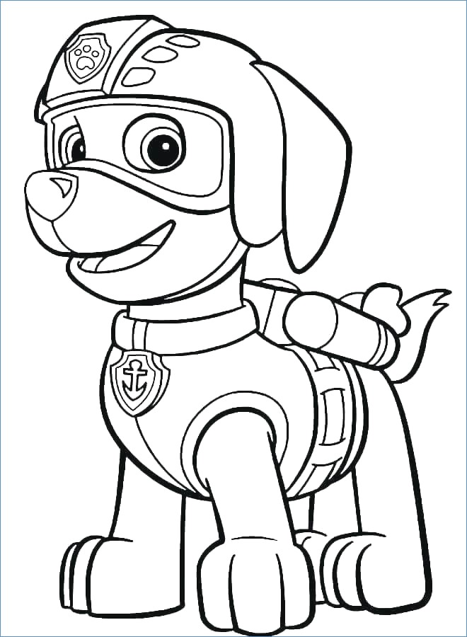 660x900 Paw Print Templates