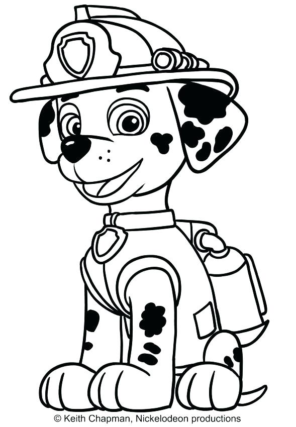 589x850 Paw Patrol Coloring Pages Printable