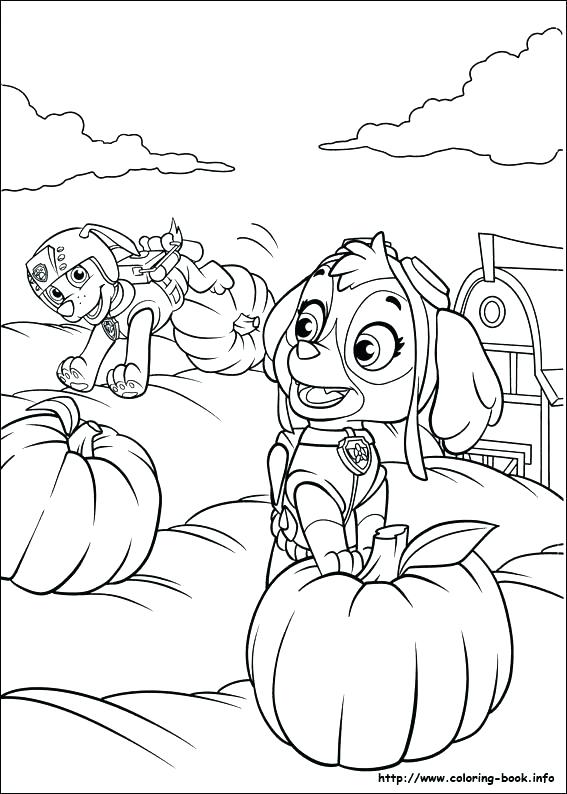 567x794 Pup Patrol Coloring Pages Pup Patrol Coloring Pages Paw Patrol