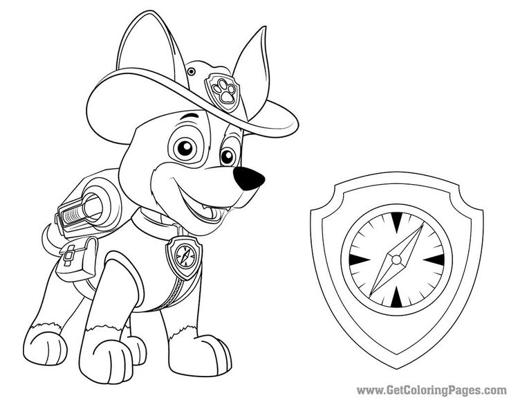 736x575 63 Best Paw Patrol Images On Paw Patrol Party, Paw