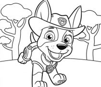 210x180 Random Coloring Sheet