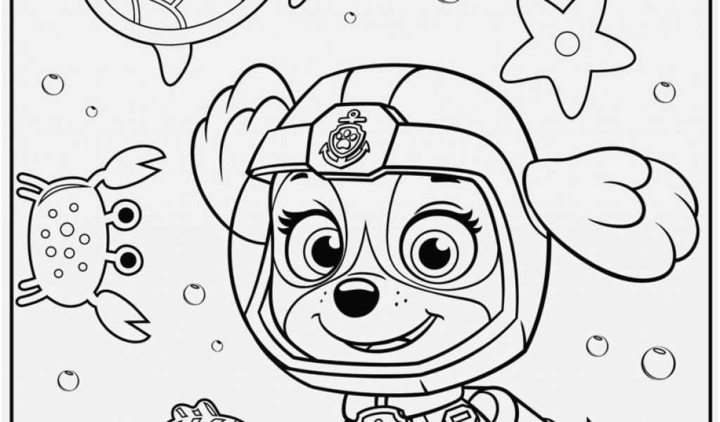 1024x600 Skylanders Blackout Coloring Pages Pics Paw Patrol Tracker