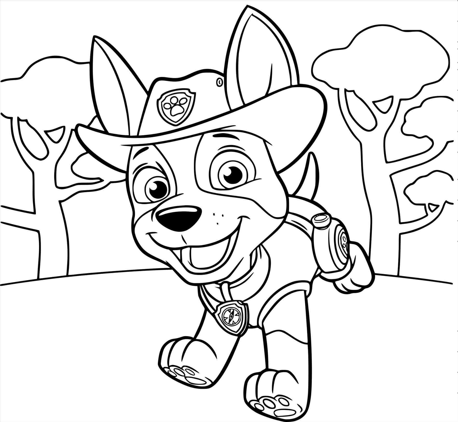 1899x1749 Paw Patrol Rocky Ausmalbild Galerie