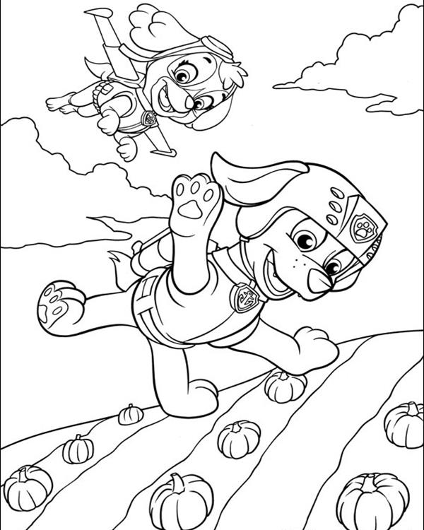 600x750 Paw Patrol Coloring Pages Skye And Zuma Flying