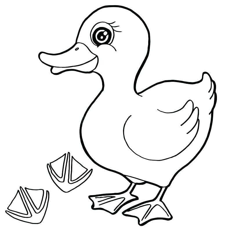 800x800 Paw Patrol Images To Print Paw Print Coloring Pages Download Duck