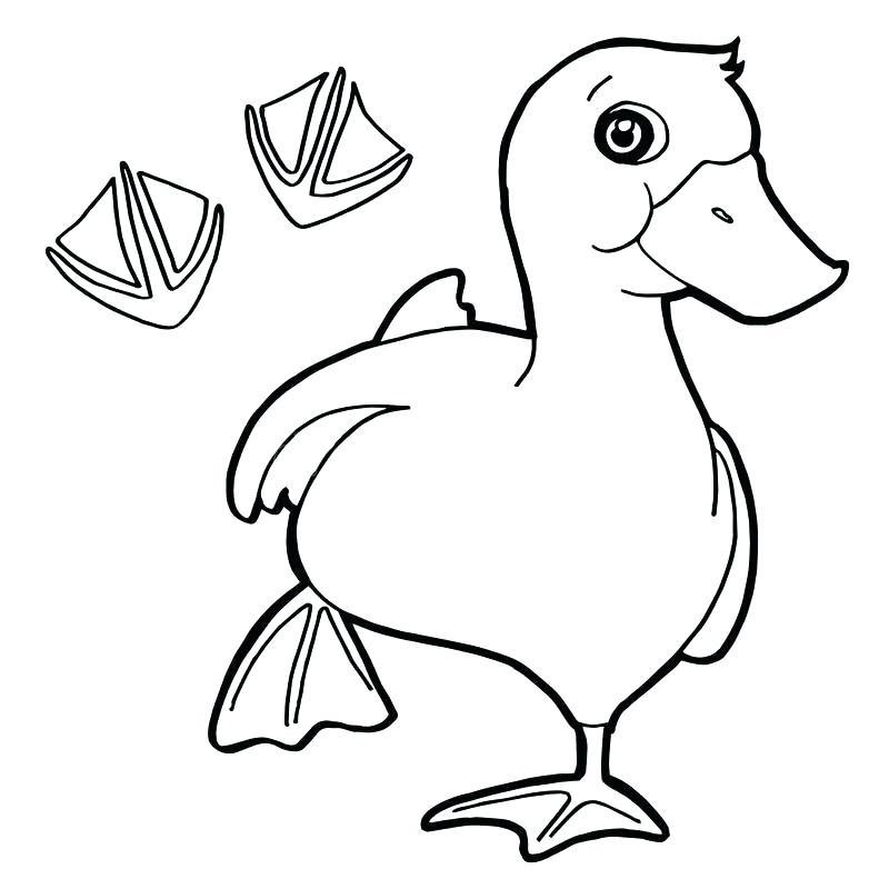800x800 Stunning Paw Print Coloring Page Paw Print Coloring Page Download