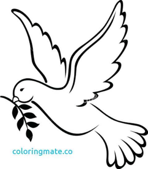 479x546 Dove Coloring Pages Peace Coloring Pages 5 Coloring Kids Of Dove
