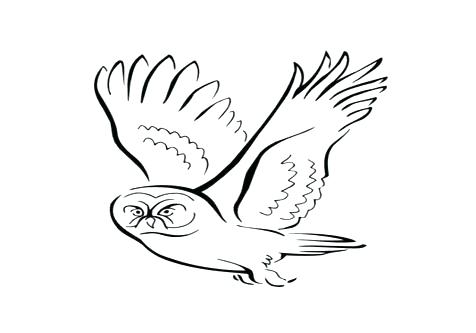 476x333 Dove Coloring Page Dove Coloring Page Flying Dove Coloring Page